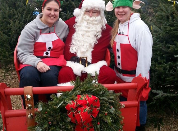 Buffalo Bill's Christmas Trees - Franklin, WI