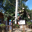 Tru-Cut Tree Service - Tree Service