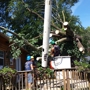 Tru-Cut Tree Service