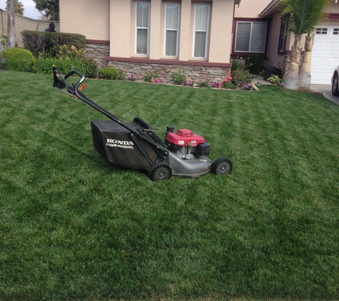 Palacios Landscaping & Tree Service - Hemet, CA