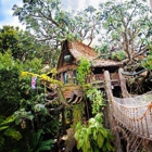 Tarzan's Treehouse™