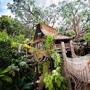 Tarzan's Treehouse™