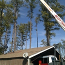 Brad's Tree Service - Tree Service