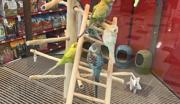 Petco - Roswell, GA