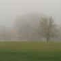 Elmwood Golf Course