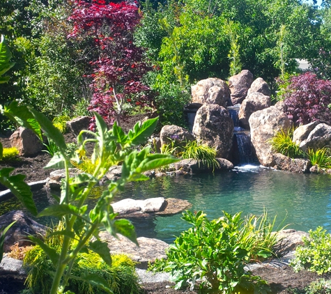 Pacific Pond & Waterfall - Martinez, CA