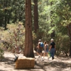 Riverside County Parks Dept gallery