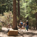 Riverside County Parks Dept - Parks