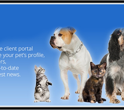 Warwick Town & Country Vets - Warwick, QLD. From Smaller, Domesticated Animals To Larger Farm Animals, Our Team Can Do It All
