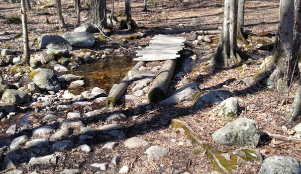 F. Gilbert Hills State forest - Foxborough, MA