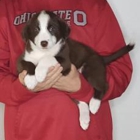 Heaven to Earth Rescue
