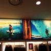 Quiksilver gallery