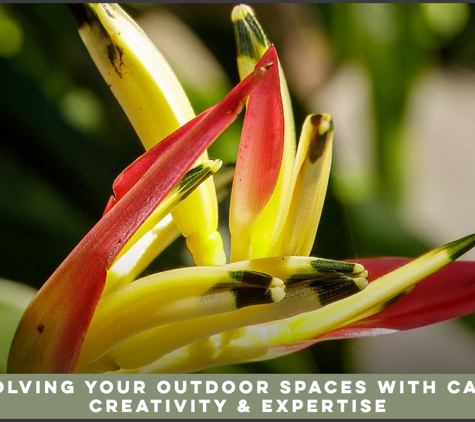 Evolve Gardens & Landscaping - Ballina, NSW. Evolving Your Outdoor Spaces With Care, Creativity & Expertise