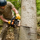 Ferguson Tree & Property Maintenance