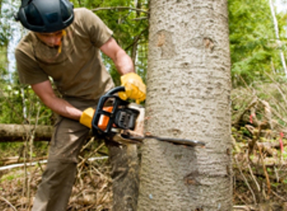 Ferguson Tree & Property Maintenance - Stokesdale, NC