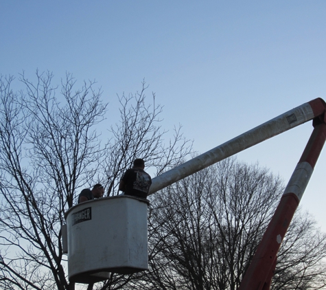 A Cut Above Tree Service