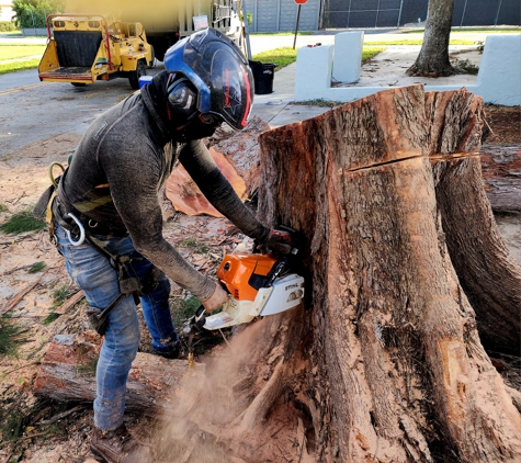 Full Tree Services - Davie, FL. Flush Cut Stump