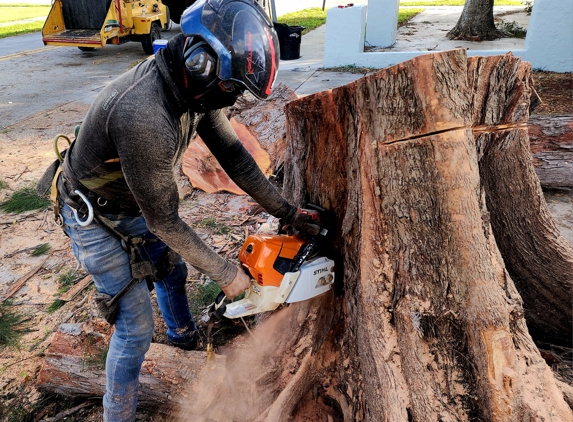 Full Tree Services - Davie, FL. Flush Cut Stump 