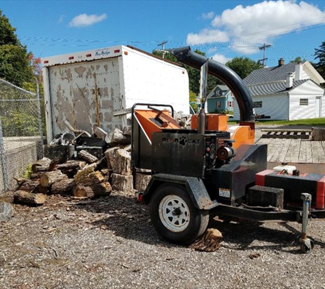 Drop It Cheap Tree Service - West Bend, WI