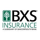 BXS Insurance - Insurance