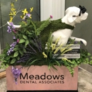 MEADOWS DENTAL ASSOICATES DMD - Prosthodontists & Denture Centers