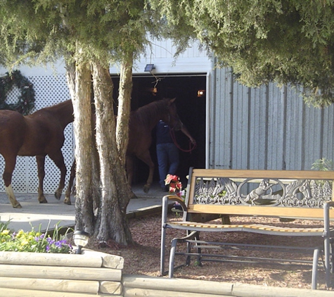 Millhaven Horse Farm Derwood - Derwood, MD