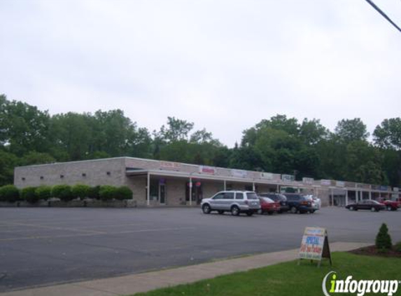 Aurora Chinese Restaurant - Penfield, NY