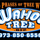 Wahoo Tree - Tree Service