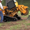 Half Price Stump Grinding gallery