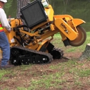 Half Price Stump Grinding - Landscaping & Lawn Services