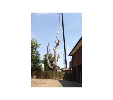 Kendall's Tree Service - Lake Albert, NSW. tree lopper wagga