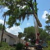 Valdosta Tree Service LLC gallery