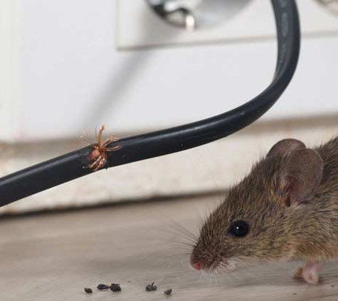 Capricorn Pest Control - Exmouth, WA