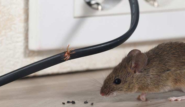 Capricorn Pest Control - Exmouth, WA