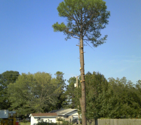 Luke's Tree Service - Sherwood, AR