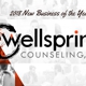 Wellspring Counseling KY LLC