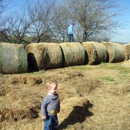 Ditmars Orchard - Orchards