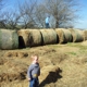 Ditmars Orchard