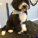 D-Tails Pet Salon - Dog & Cat Grooming & Supplies