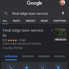 Feral Edge Lawn Service LLC