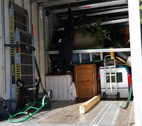 Professional Men Moving. Unloading