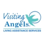 Visiting Angels Living Assistance Services