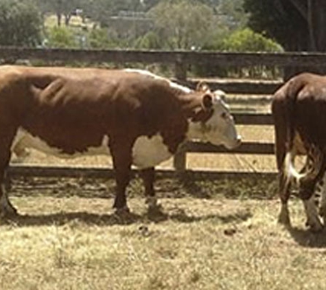 Baw Baw Shire Council - Warragul, VIC. Baw Baw Shire