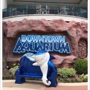 The Downtown Aquarium