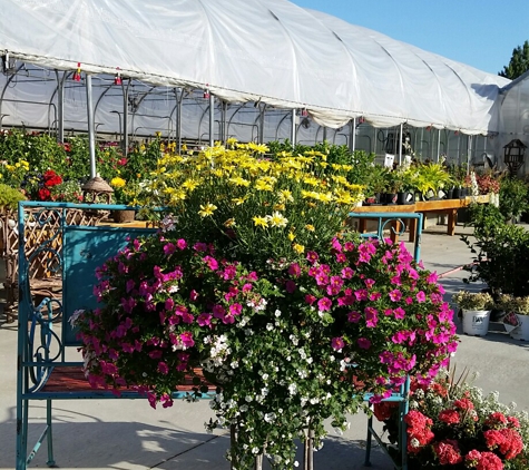 B & B Gardens - Oakes, ND. Oakes fresh flowers for every occasion!