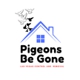 Pigeons Be Gone