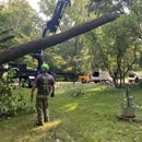 Professional Tree Care - Tree Service