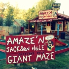 Amaze'n Jackson Hole