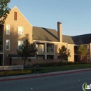 Riva Terra Apartments at Redwood Shores - Apartments