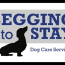 Begging to Stay - Dog Training